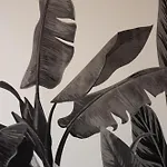 Tropical Boutique Appartement Gallipoli